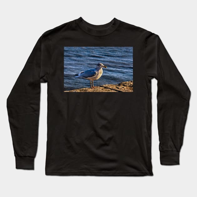 A seagull in Bridlington Long Sleeve T-Shirt by jasminewang